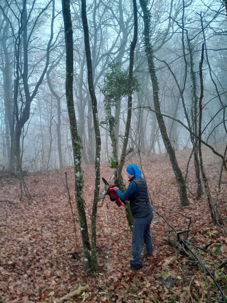 Radna akcija – čišćenje Fokine staze