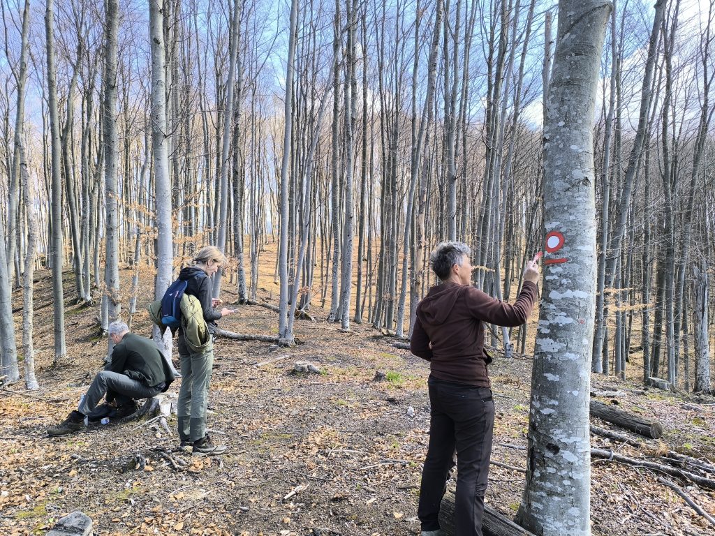 Markacistička akcije – izmještanje djela staze (15.03.2026)