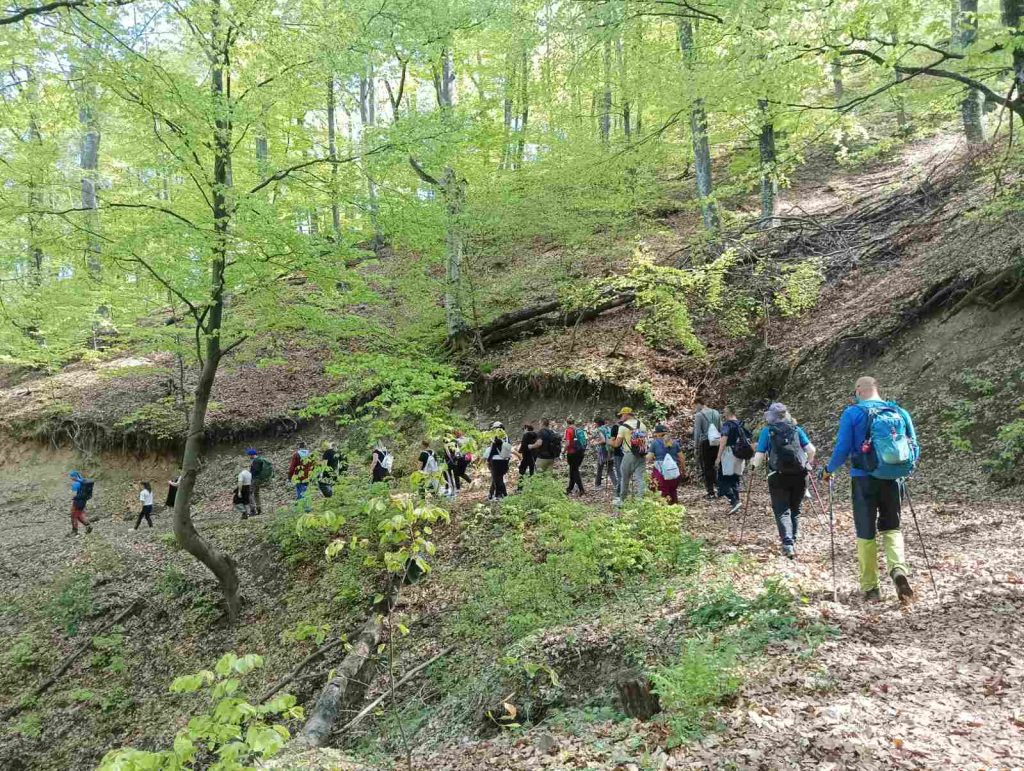 Izlet kružnom stazom za osobe sa invaliditetom, 18.04.2026