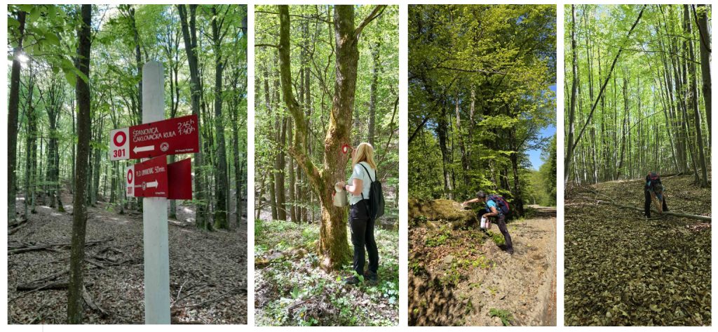 Markacistička akcija na stazi 301 (25.4.2026.)