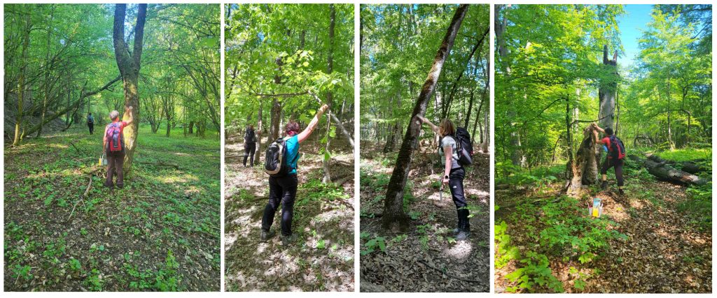 Osvježene markacije na dijelu Slavonskog planinarskog puta (26.4.2026.)