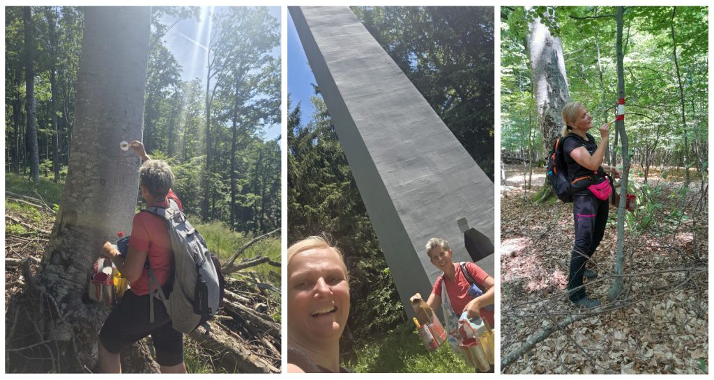 Obnova markacija na planinarskoj stazi do Brezovog polja-985 m (14.6.2026.)