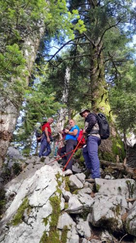 gorski_korar_2026 (10)