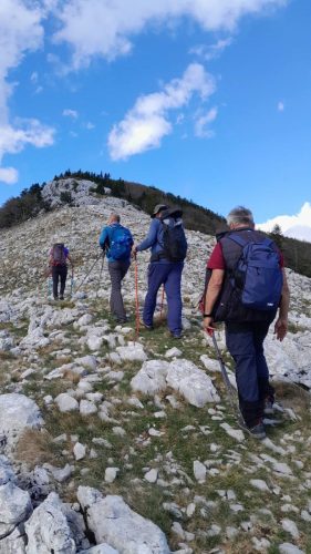gorski_korar_2026 (11)