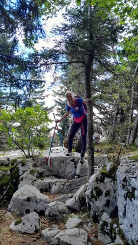 gorski_korar_2026 (12)